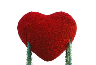 Reject a writer. A fuzzy red heart. There are two green trails leaking from its side.