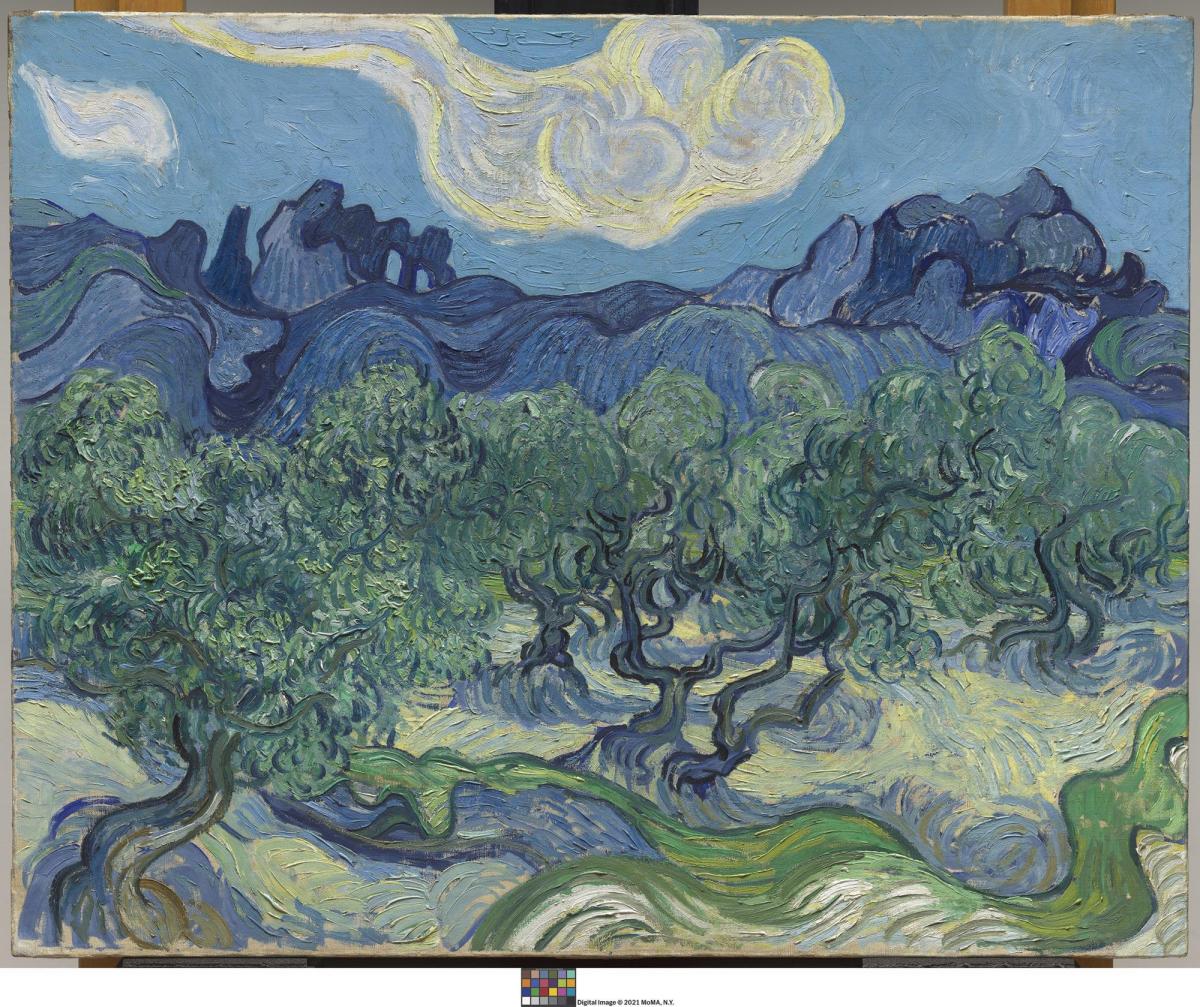 A painting in shades of blue, white and green of olive groves by Vincent Van Gogh.