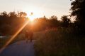 Image is two older people walking hand in hand on a path away from the camera in the golden hour of early evening, the sun shining as it sinks.