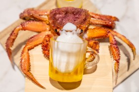 A crab holds a tiny tankard of foaming beer. Looks Delicious!